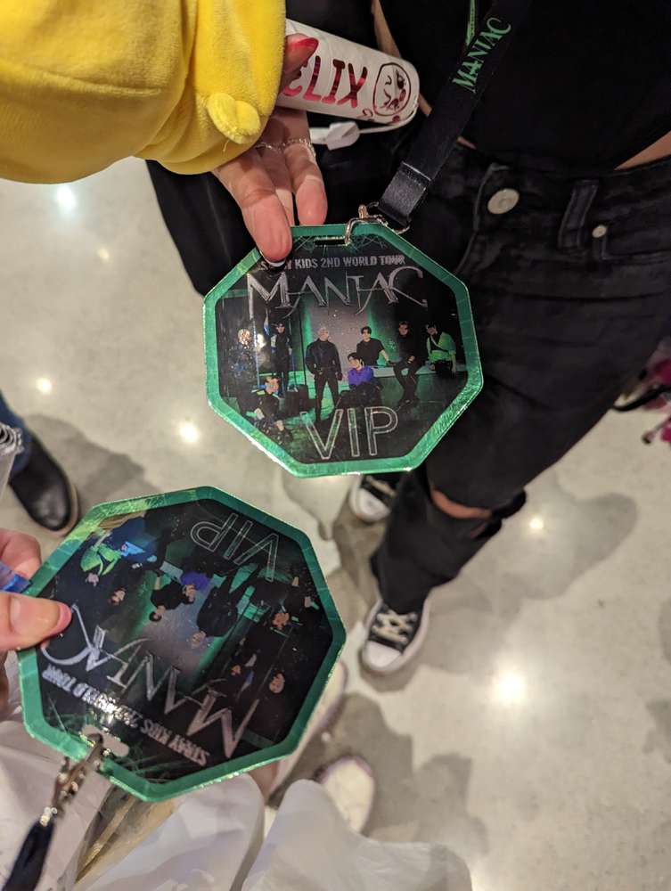 Skz vip newest